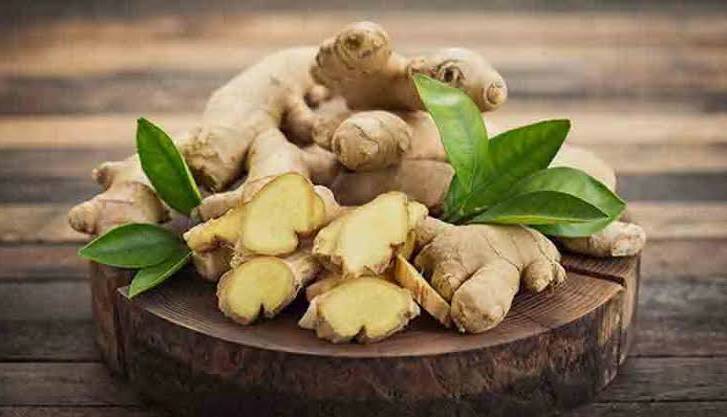 6457457457 - زنجبیل یا نعناع؛ کدام&zwnj;یک برای رفع حالت تهوع موثرتر است؟